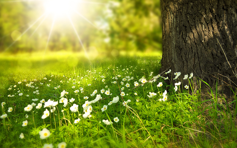 GZPI一直牢记责任，回报公众，回馈社会。